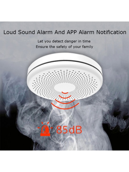 2 in 1 Version WiFi Function Tuya And Smart Life Smoke Detector Sensor &amp; Carbon Monoxide Co Gas Detector Smoke Fire Sound Al