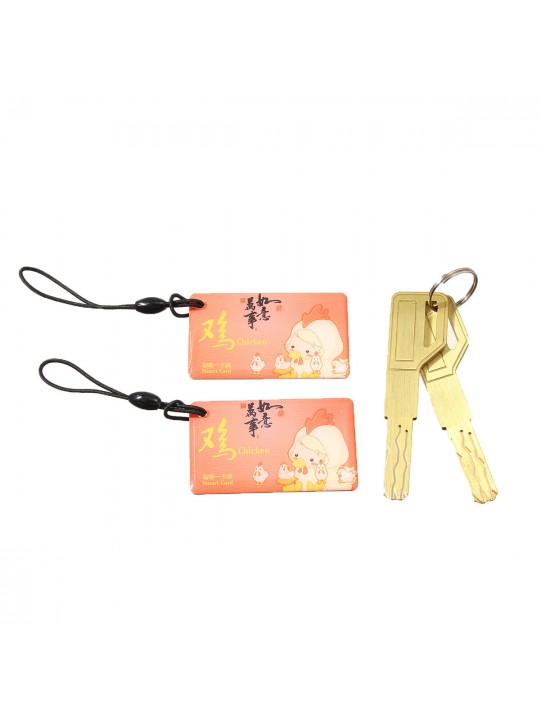 Electronic Smart Door Lock Biometric Fingerprint  Digital Code Smart Card Key