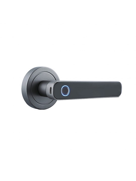 Smart Fingerprint Handle Door Lock Intelligent Anti-theft Door Lock Fingerprint Key Unlock Home Lock Electronic Entry Door Secur